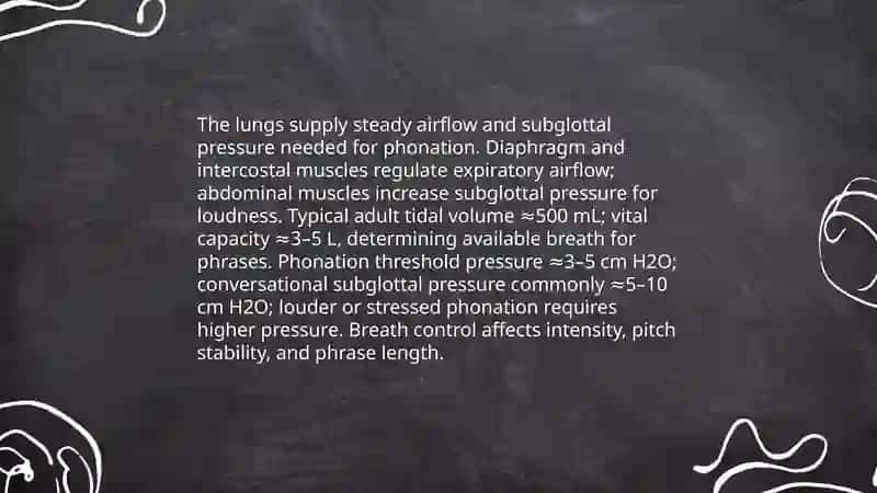 The organs of speech and their function 3