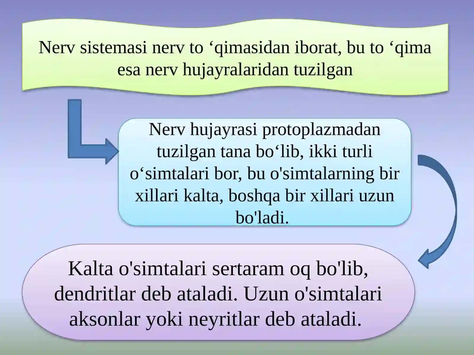 XULQ-ATVORNING PSIXOFIZIOLOGIK ASOSI,ONG TARAQQIYOTI VA ONGSIZLIK 3