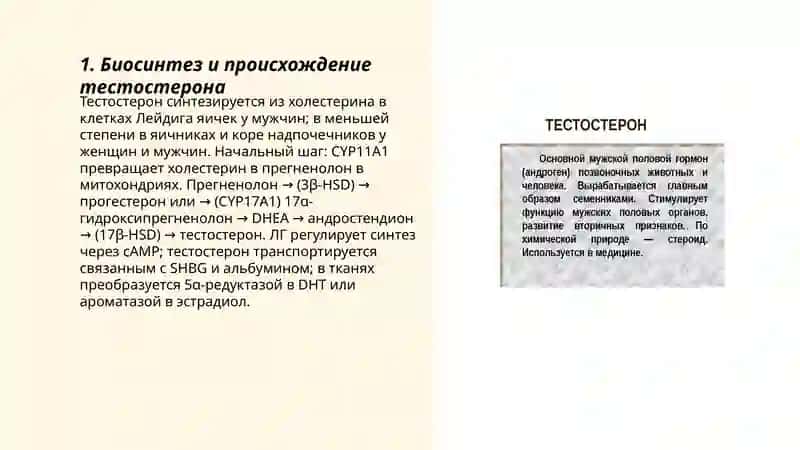 Тестостерон 3