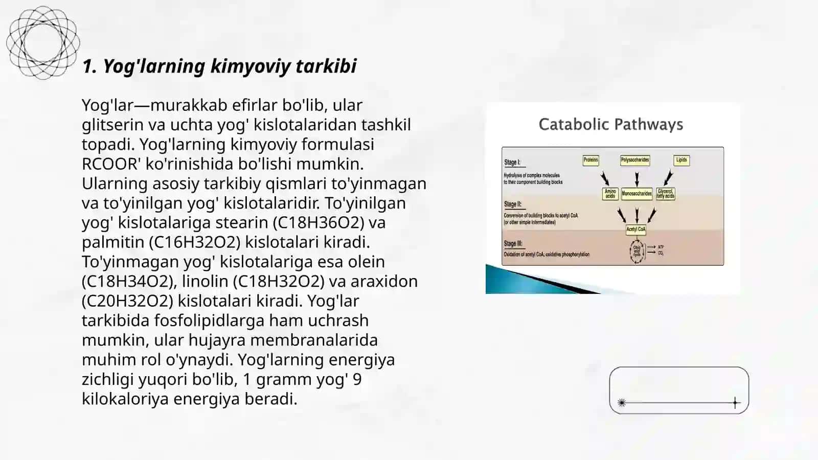 Yog'larning oraliq almashinuvi 3