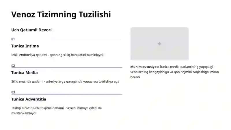 Venoz Tizimning Anatomik Xususiyatlari 3