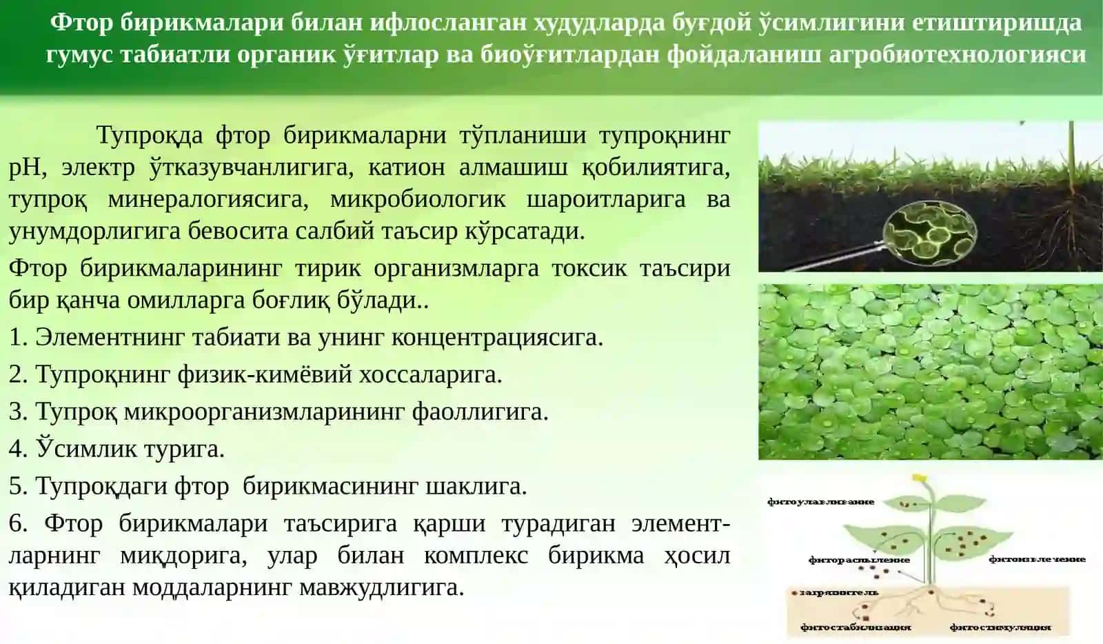 Фтор бирикмалари 3