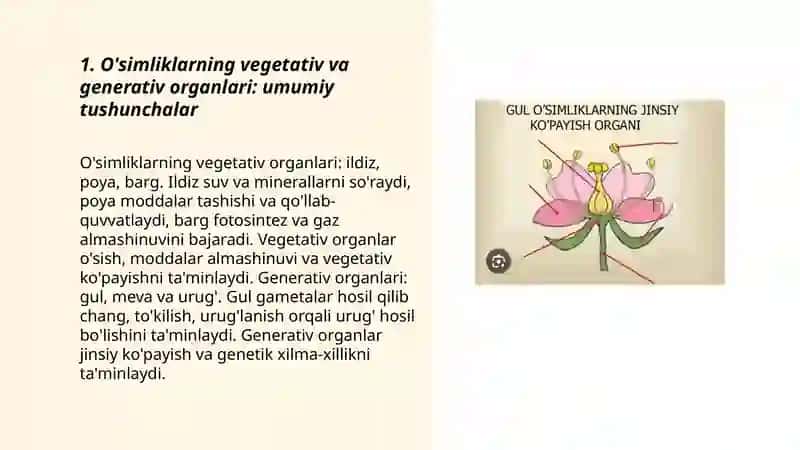 O'simliklarning vegetativ va generativ organlari va jinsiy kópayishi 3