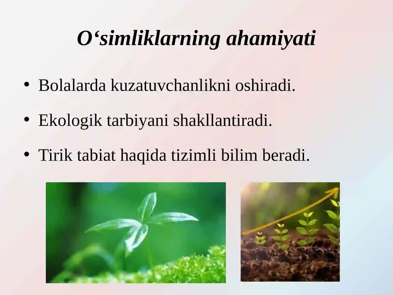 Turli yosh guruhlarida tabiat burchaklarini tashkil etishga tavsiya etiladigan o‘simliklar va hayvonlar 3
