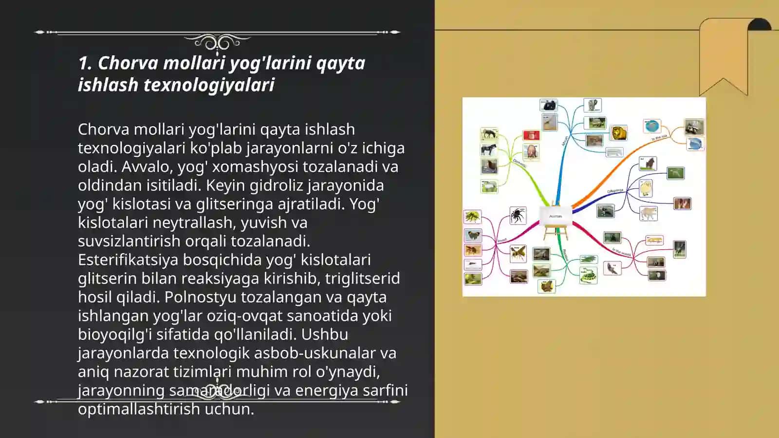 Chorva mollari yog'larini qayta ishlash texnologiyalari 3