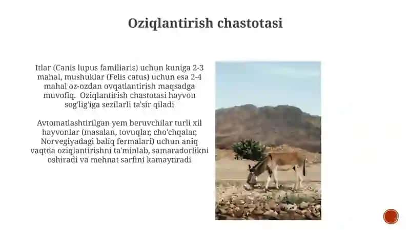 Hayvonlarni oziqlanishi 3