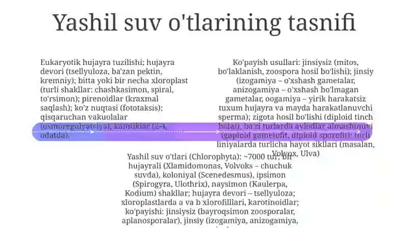Yashil suv o'tlari: Umumiy ma'lumot 4