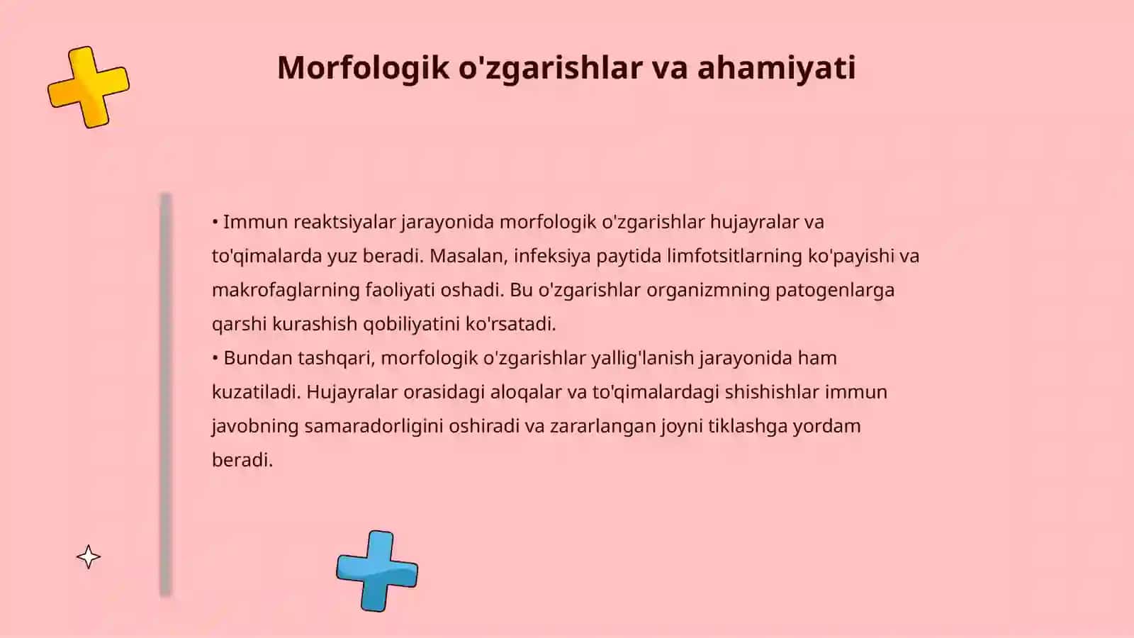 Immun himoya reaksiyaklarining morfologik asoslari 4
