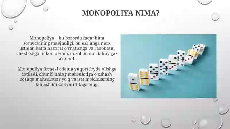 Monopoliya va monopsoniya 4