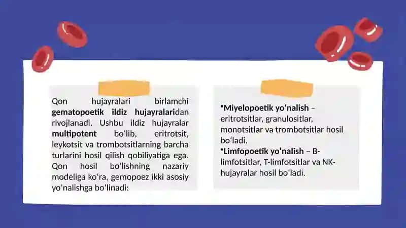 “Qon hosil bòlish mexanizmi” 4