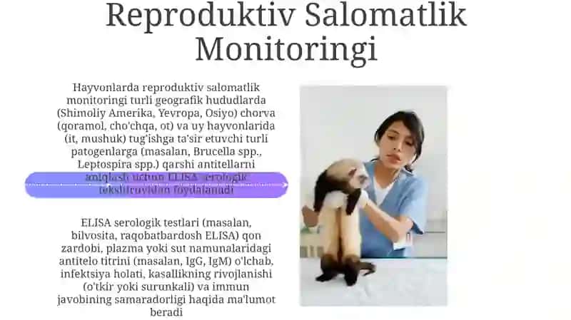 ELISA printsiplari va metodikasi 4