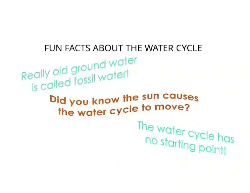 THE WATER CYCLE 4