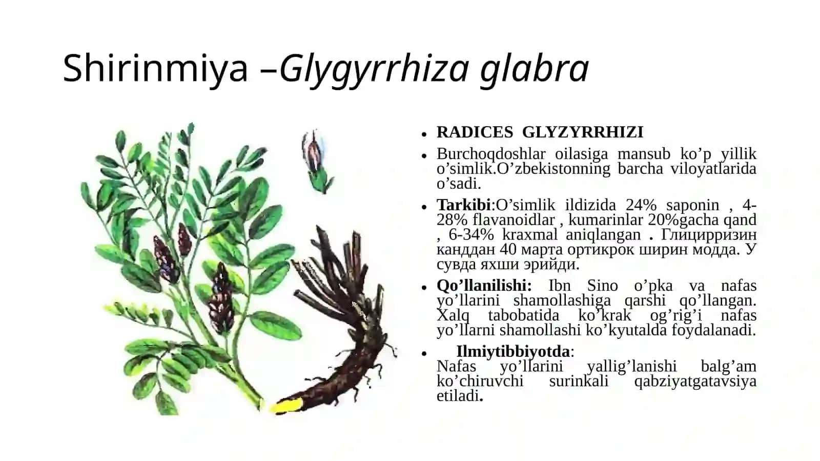 CHO’L ZONASI DORIVOR O’SIMLIKLARINING BIOLOGIYASI VA EKOLOGIYASI 4