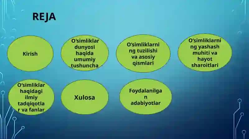 O‘simliklar dunyosi va ularning hayot tarzi mavzusida tanishing 4