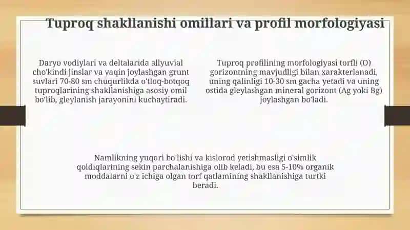 O'tloqi va o'tloqi-botqoq tuproqlari 4