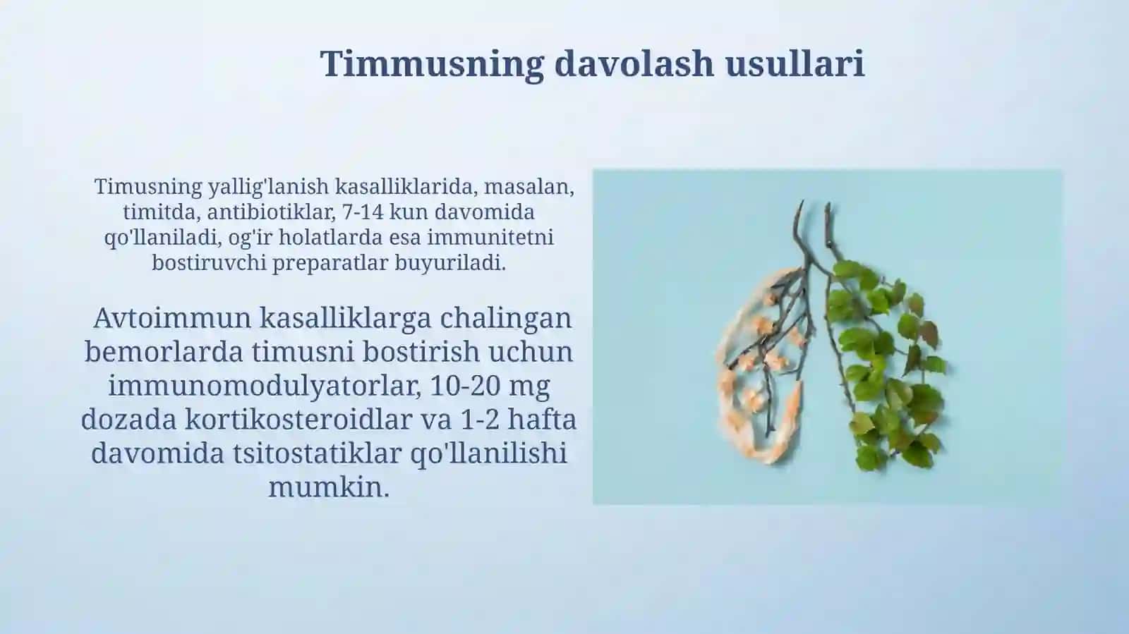 Timusning tuzulishi taraqqiyoti va vazifasi 4