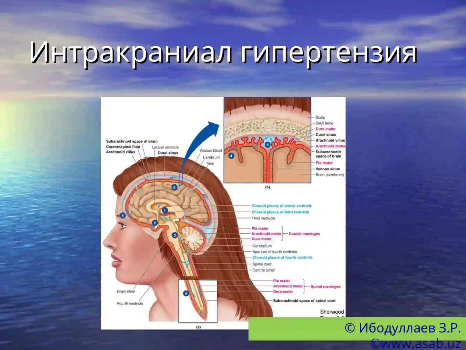 Психосоматик тиббиёт: Псевдоневрологик синдромлар(боши) 4
