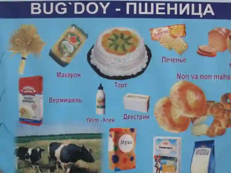 BUG‘DOY BIOLOGIYaSI VA YeTIShTIRISh TEXNOLOGIYaSI 4