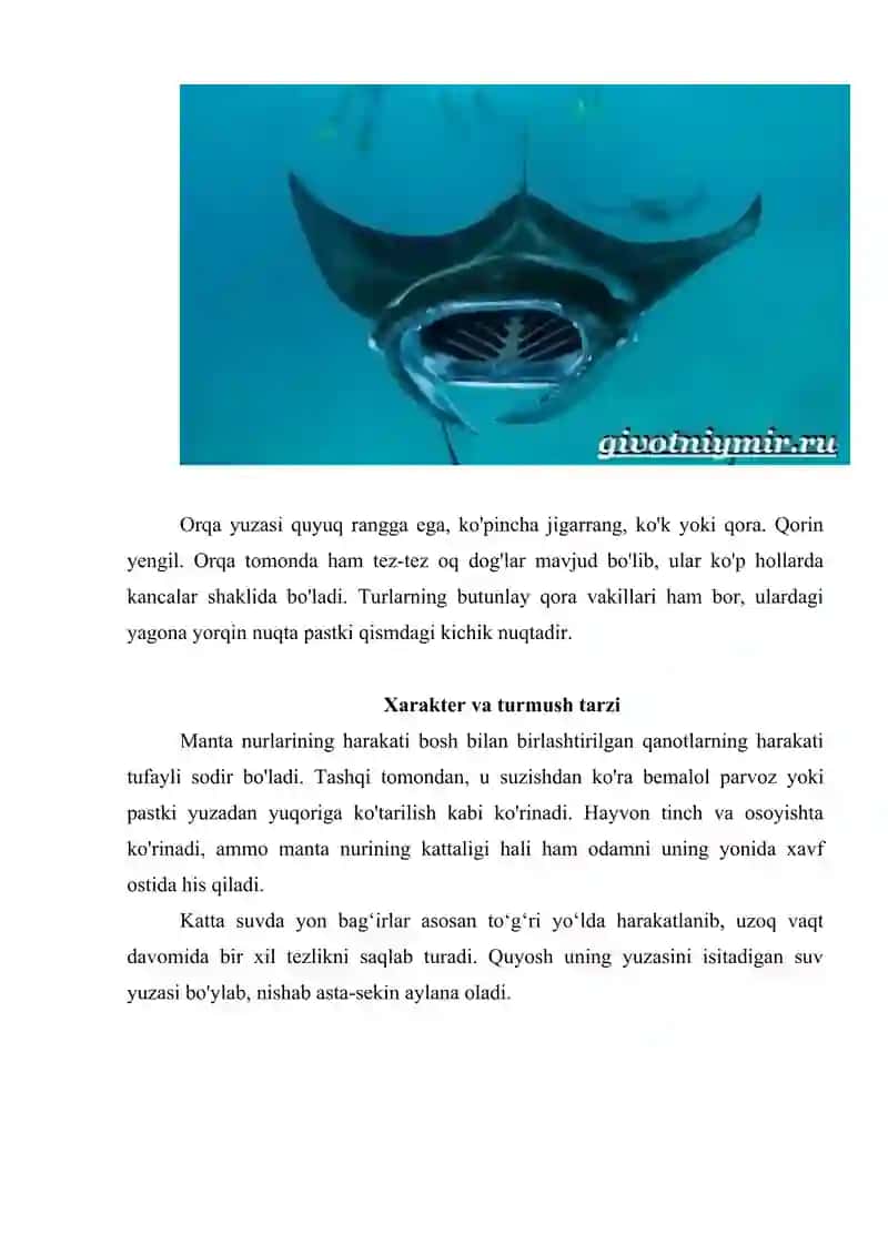 Skatlar tuzilishi hayot kechirishi va ahamiyati 4