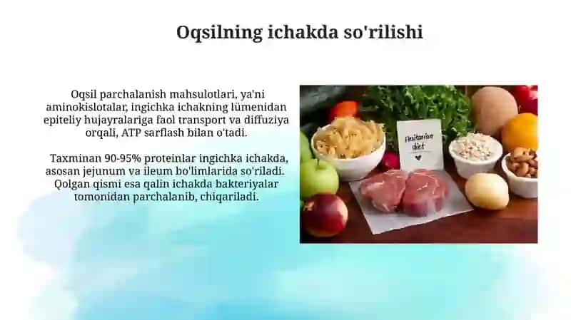 Oqsillarning hazimlanishi va sõrilishi, inson uchun ahamiyati 4