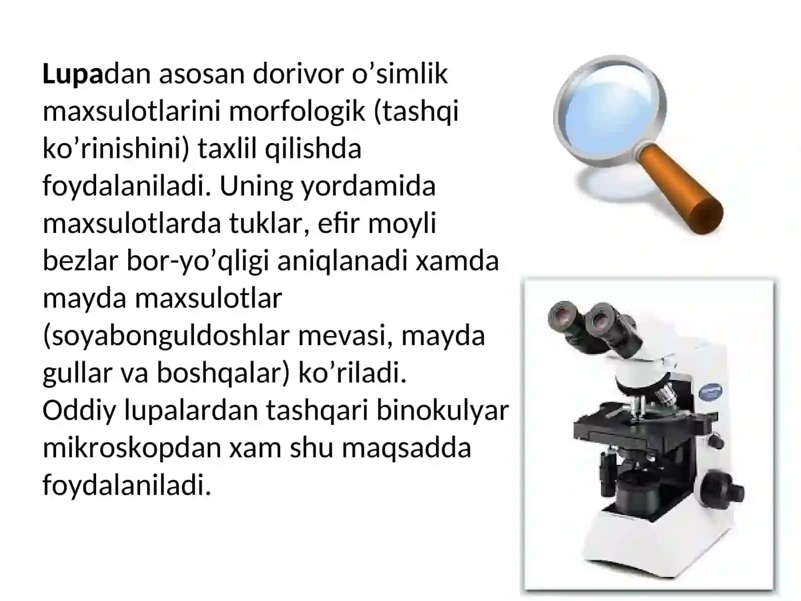 Dorivor o’simlik xom-ashyolarini taxlil qilishda qo’llaniladigan optik va yordamchi asboblar 4