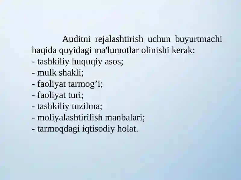 Auditni rejalashtirish 4