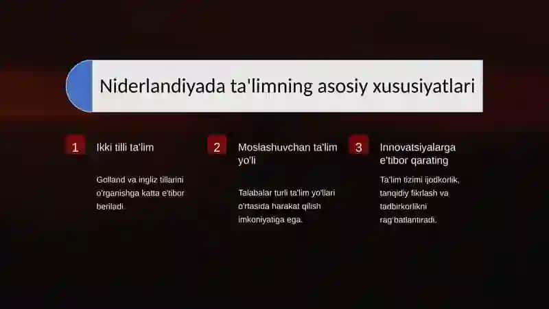 Niderlandiya, Hindiston va Finlandiya davlatlari ta'lim tizimi 4
