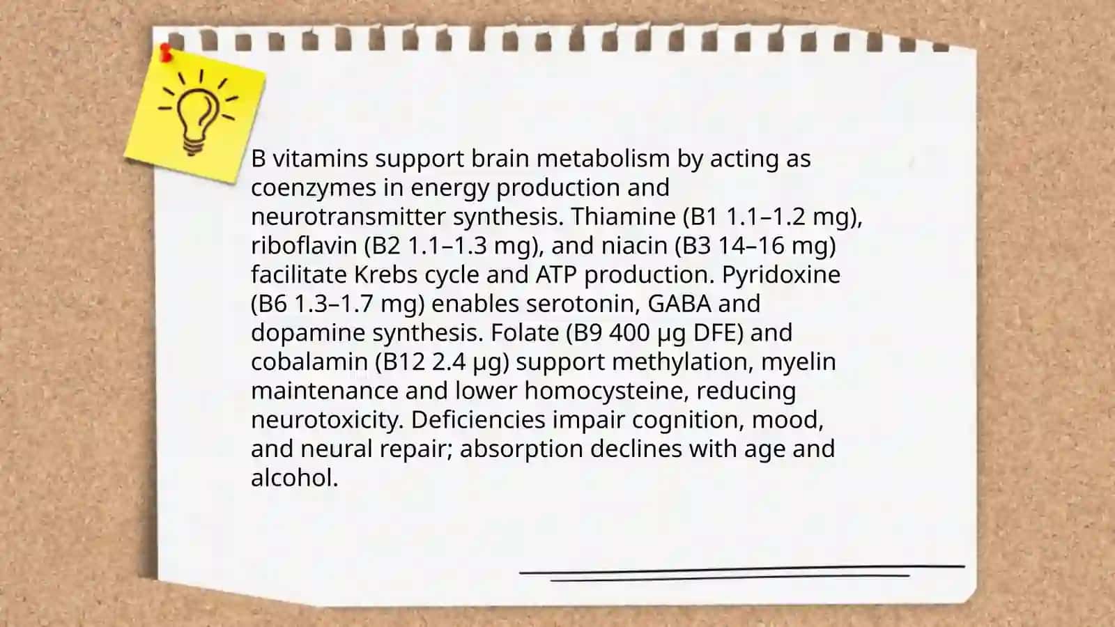 Brain Nourishment 4