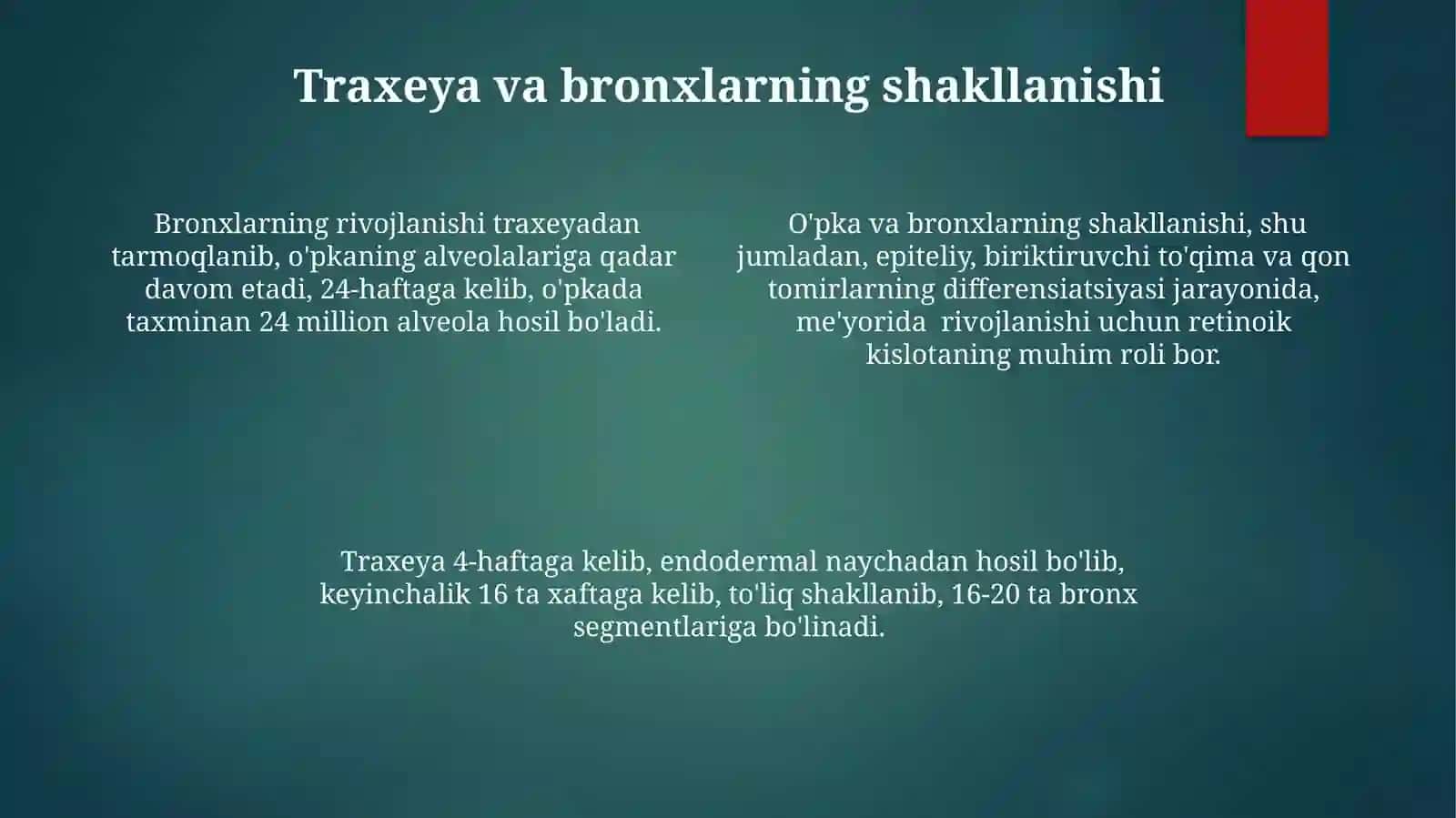 Nafas olish tizimining embrion rivojlanish anatomiyasi 4