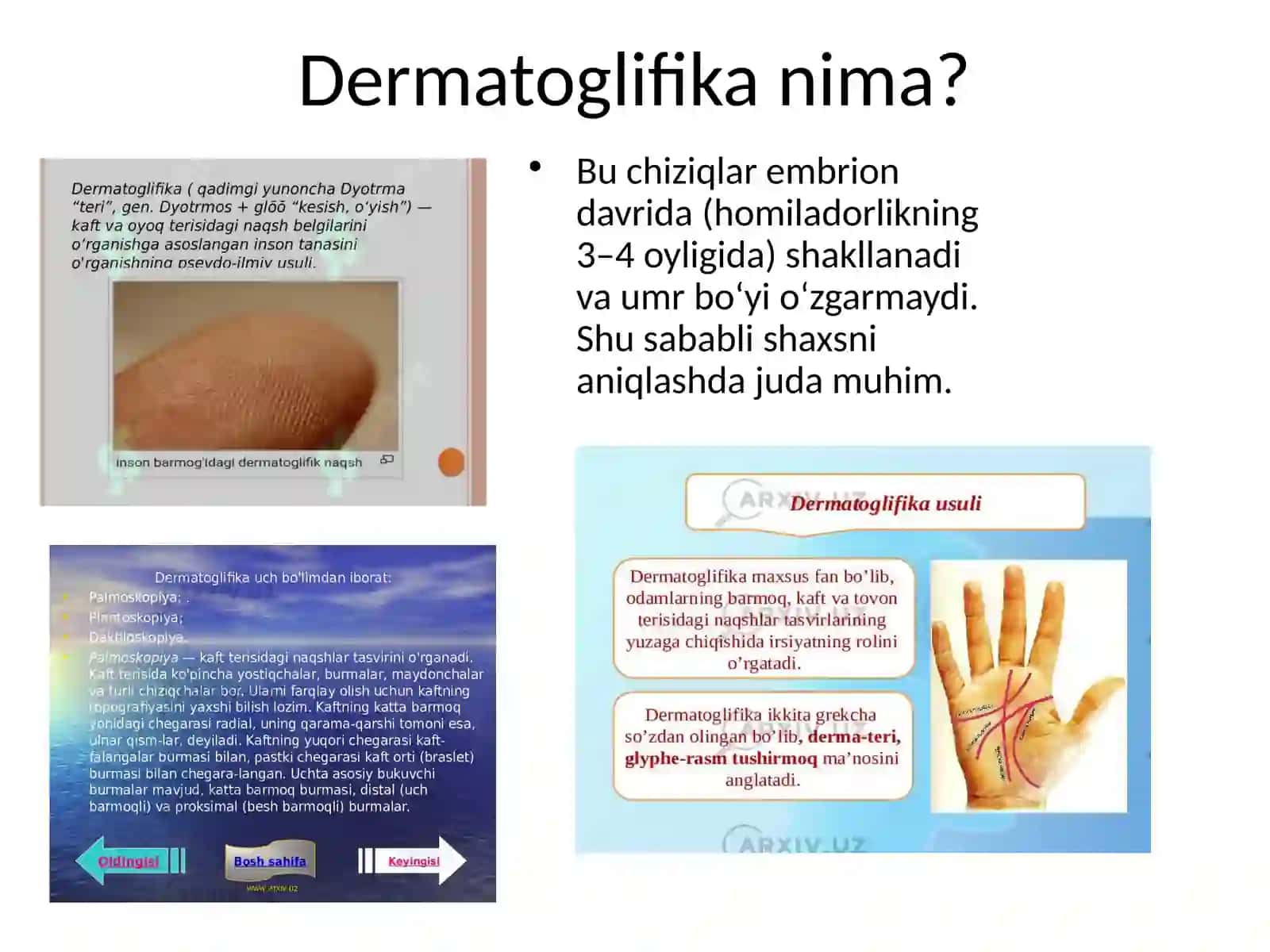 Odam genetikasi metodlari: dermatoglifik, populyasionstatistik, biokimyoviy 4