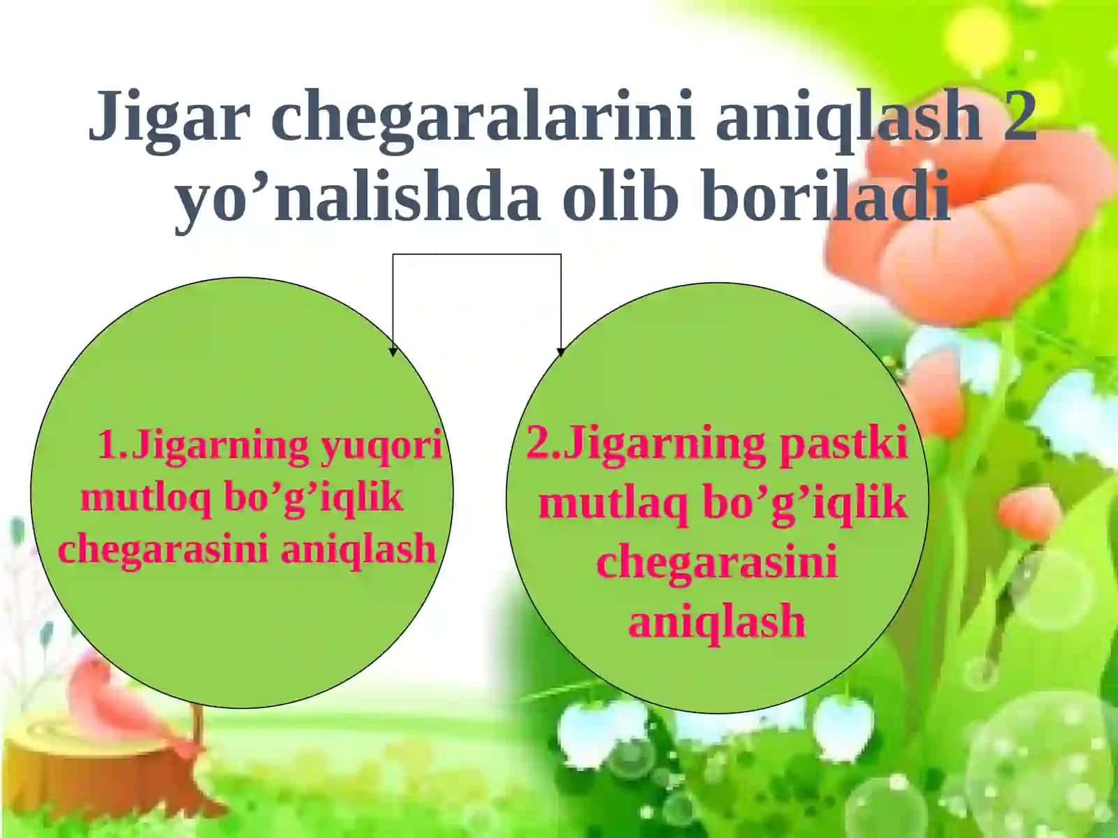 Jigar perkussiyasidagi norma va patalogiya 4