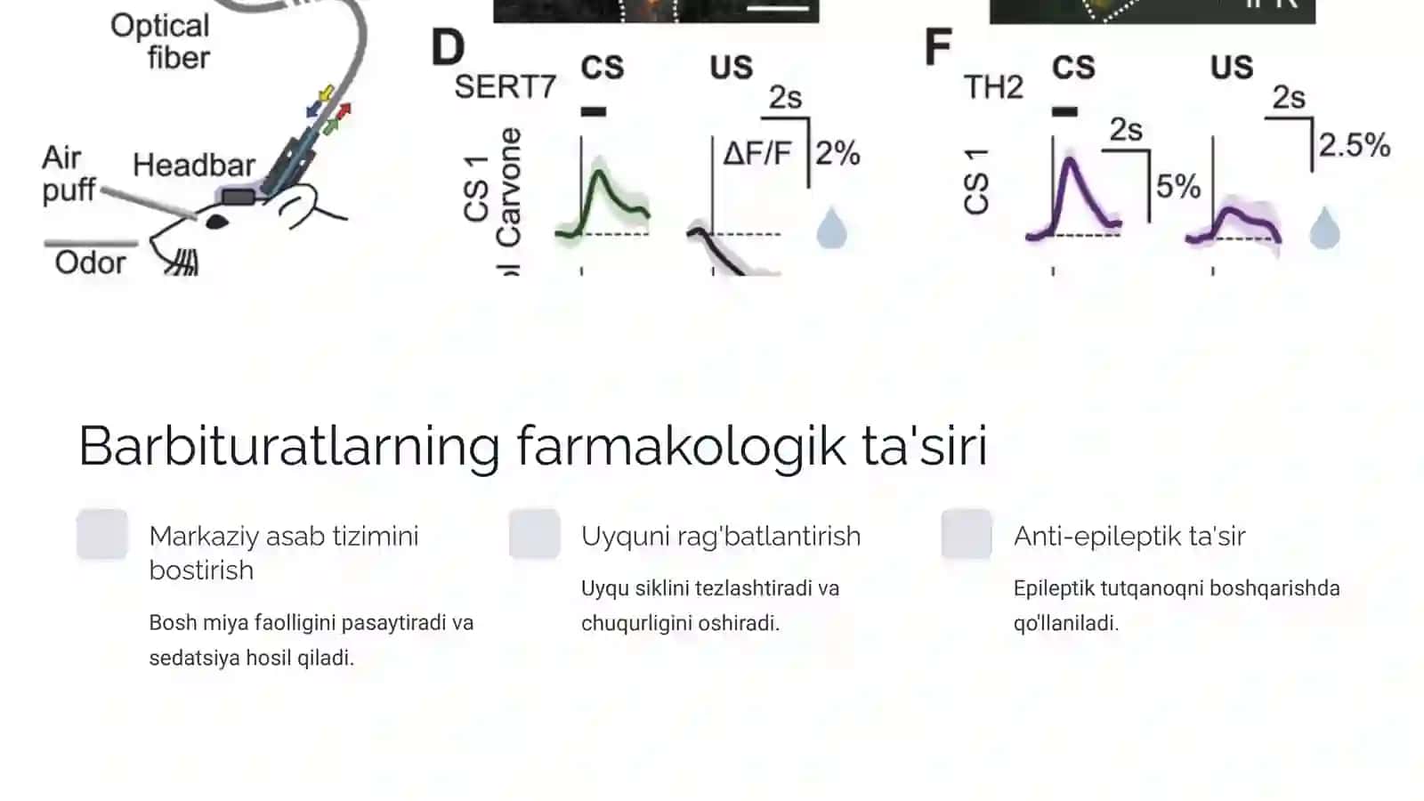 Barbitur kislota va uning asosida olingan dori vositalari 4