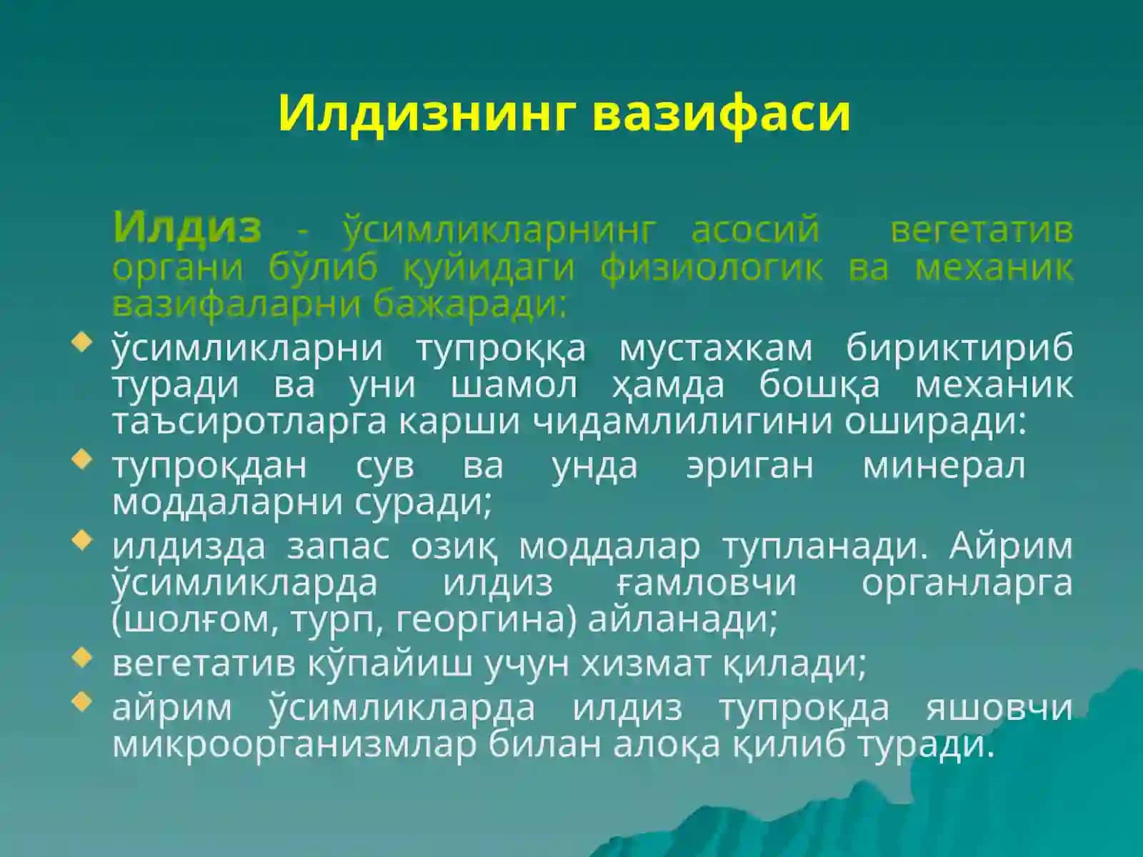 Илдиз ва илдизлар тизими 4