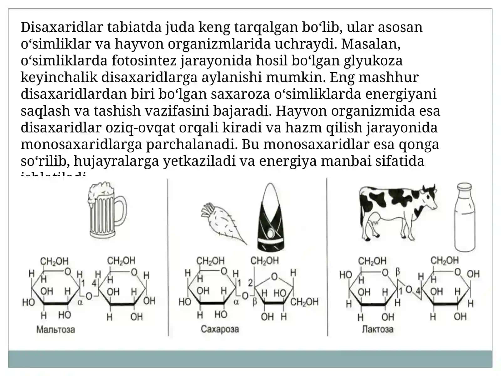 Disaxaridlar turlari va xossalari 4