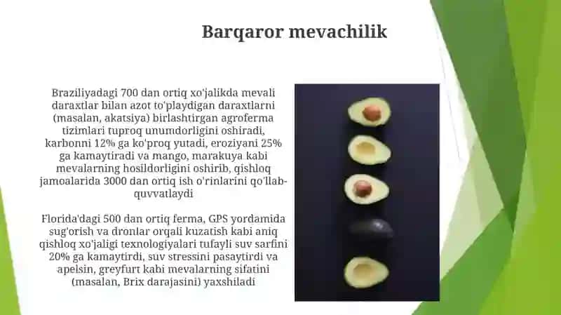 Meva turlari 4