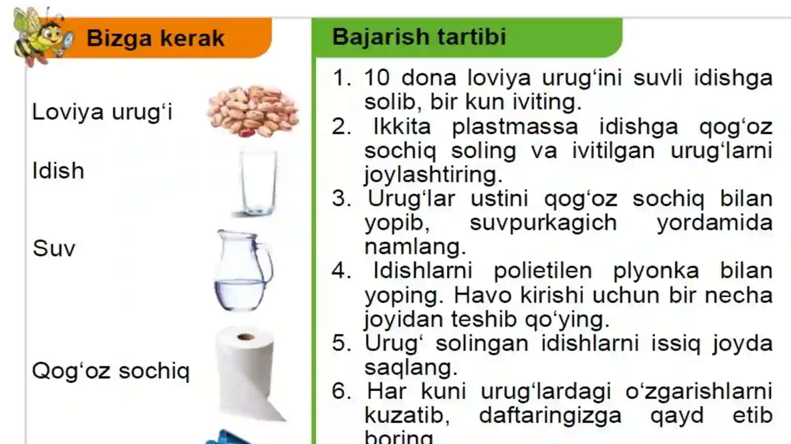 2-sinf Tabiiy fan Urug'ning unib chiqish jarayoni dars taqdimoti 4