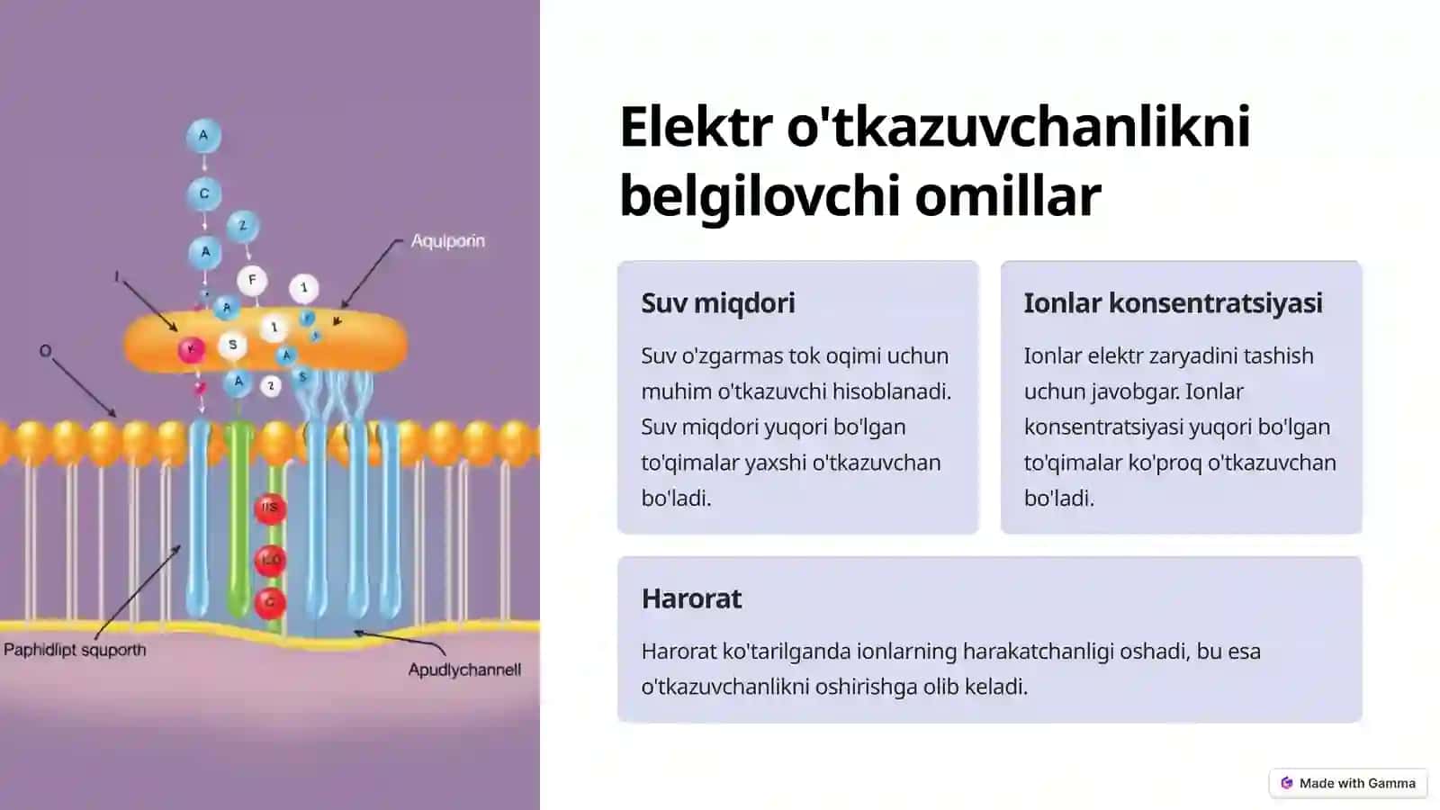 Bialogik to'qimalar va suyuqliklarning elektr o'tkazuvchanligi 4
