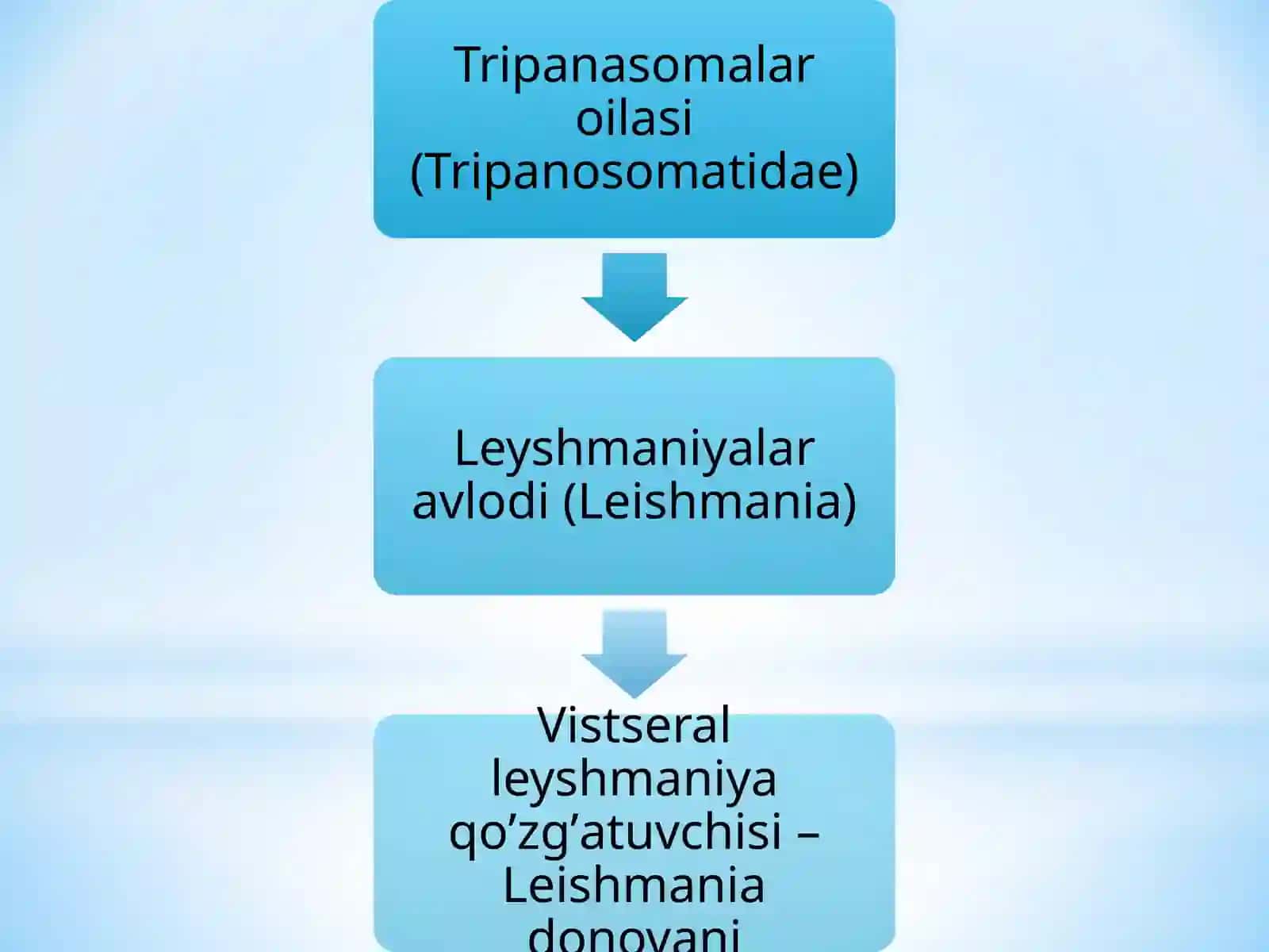 Soddapatogenjonivorlar. (Bezgak,leyshmanioz) 4