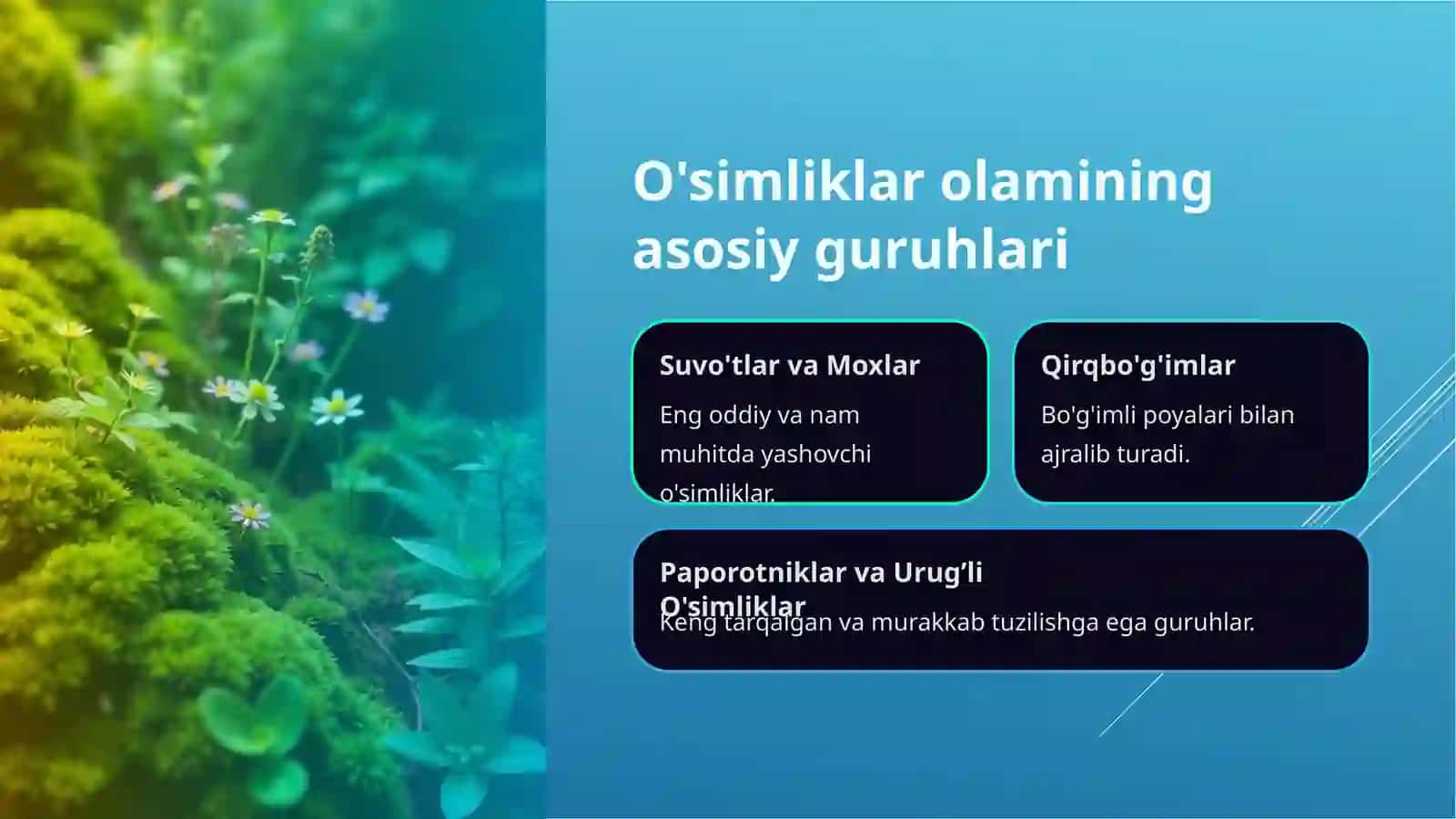 O'simliklarning xilma xilligi 4