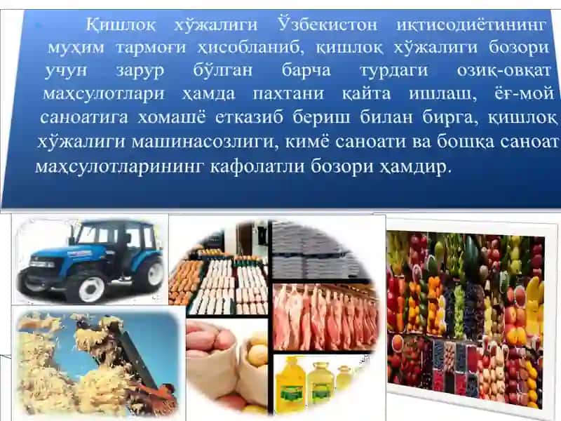 Тармоқлар иқтисодиёти (“Қишлоқ хўжалиги иқтисодиёти”) фани 4