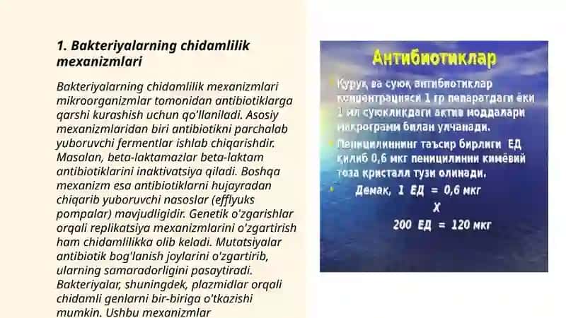Kimyoterapevtik preparatlar va antibiotiklarga bakteriyalarning chidamli shtamlarining shakillanish mexanizmlari 4