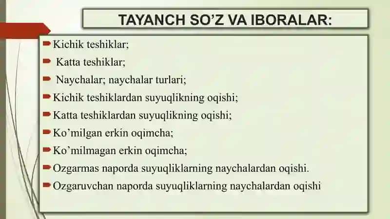 YUBQA DEVORDAGIKICHIK TESHIKCHA VA NAYCHA(NASADKALARDAN) OQIB CHIQAYOTGAN SUV 4