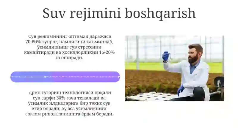 Sholi biologiyasi va yetishtirish texnologiyasi 4