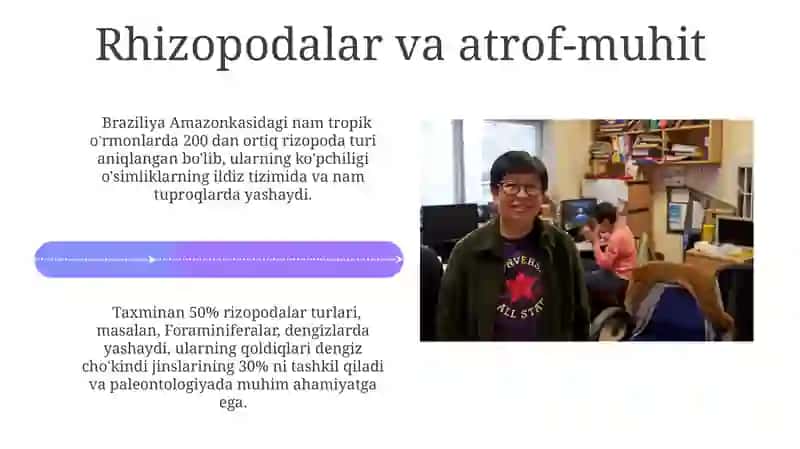 Rhizopoda sinfi: ekologiyasi va ahamiyati 4