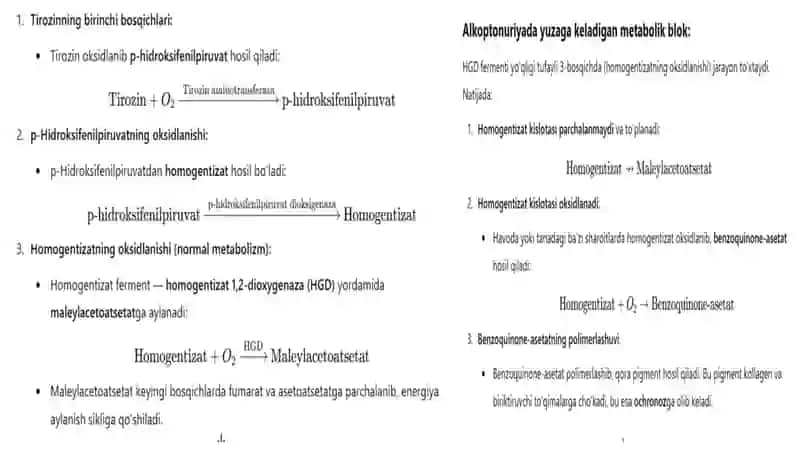 Alkoptonuriyakasalligi 4