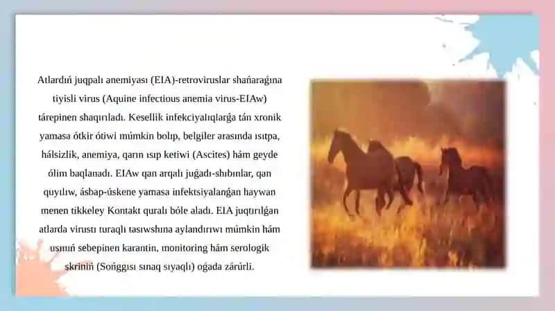 Atlardıń juqpalı anemiyası, Afrika oba keseligı 4