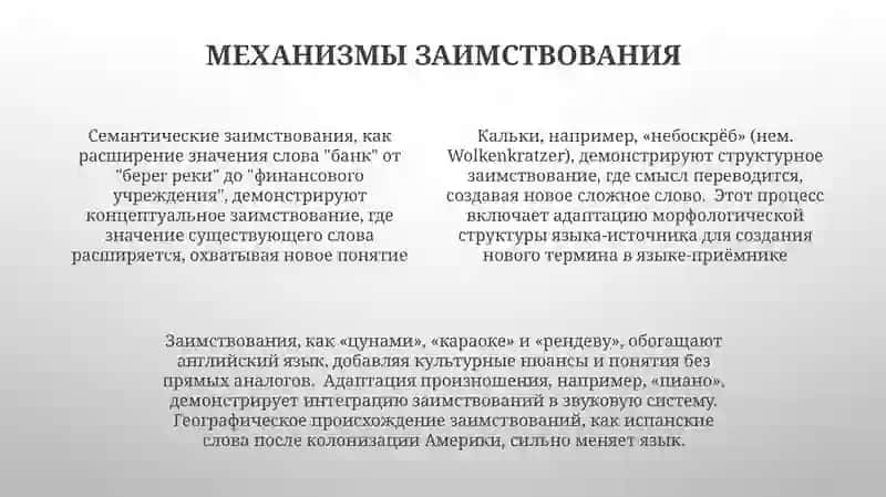 Заимствованная лексика 4