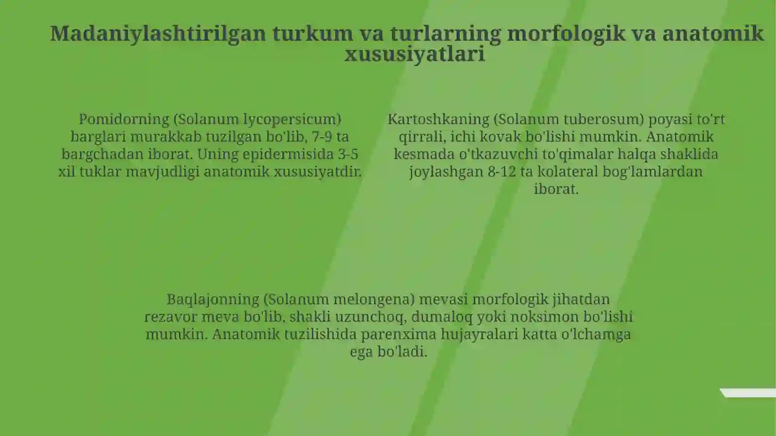 Burchoqdoshlar oilasi vakillarining sistematik belgilari madaniy holda ekiladigan turkum va turlari 4