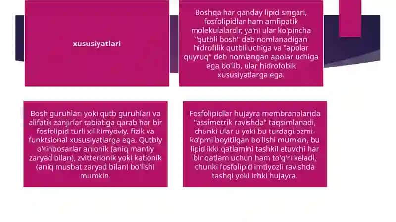 Fosfolipidlar: xususiyatlari, tuzilishi, funktsiyalari, turlari 4