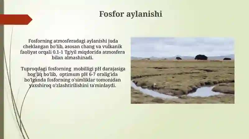 Landshaftlarda moddalarning biokimyoviy aylanishi 4